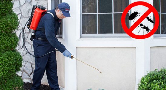 Espiye Böcek İlaçlama böcek ilaçlama ve haşere kontrolü — ilaclama-tr.com